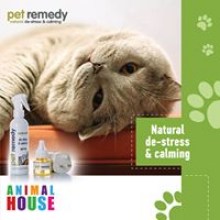 PET REMEDY CATS